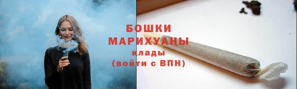 винт Дмитров