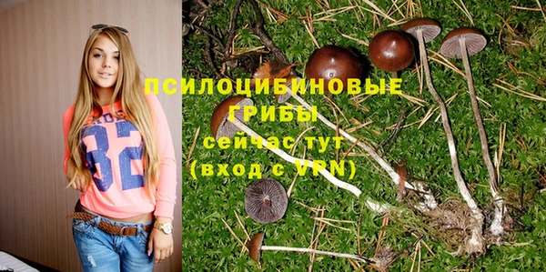 винт Дмитров