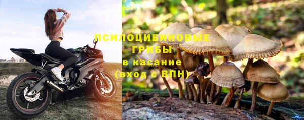 винт Дмитров