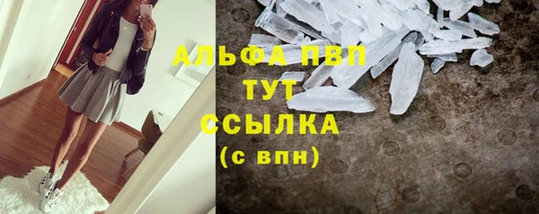 винт Дмитров